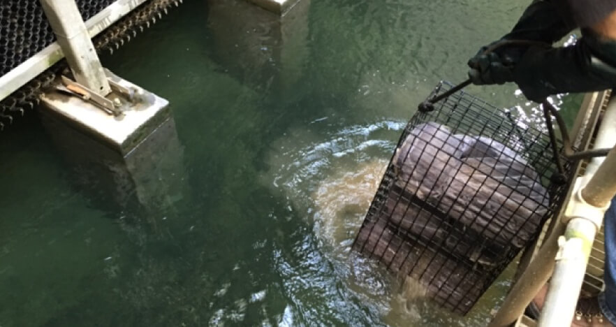 ProMoss-Data-Center-Case-Study