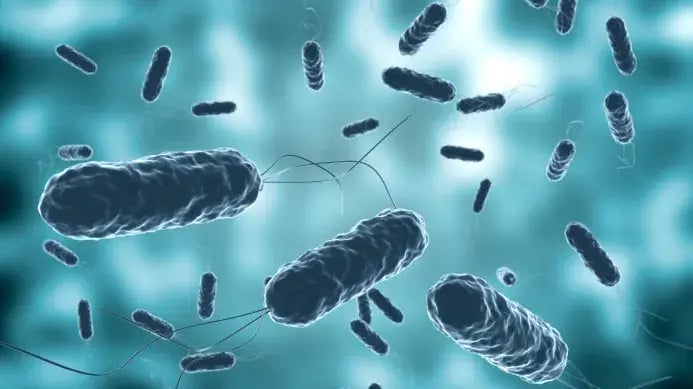 Secondary-disinfection-inside