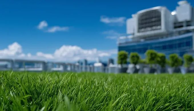 Sustainability-Options-inside