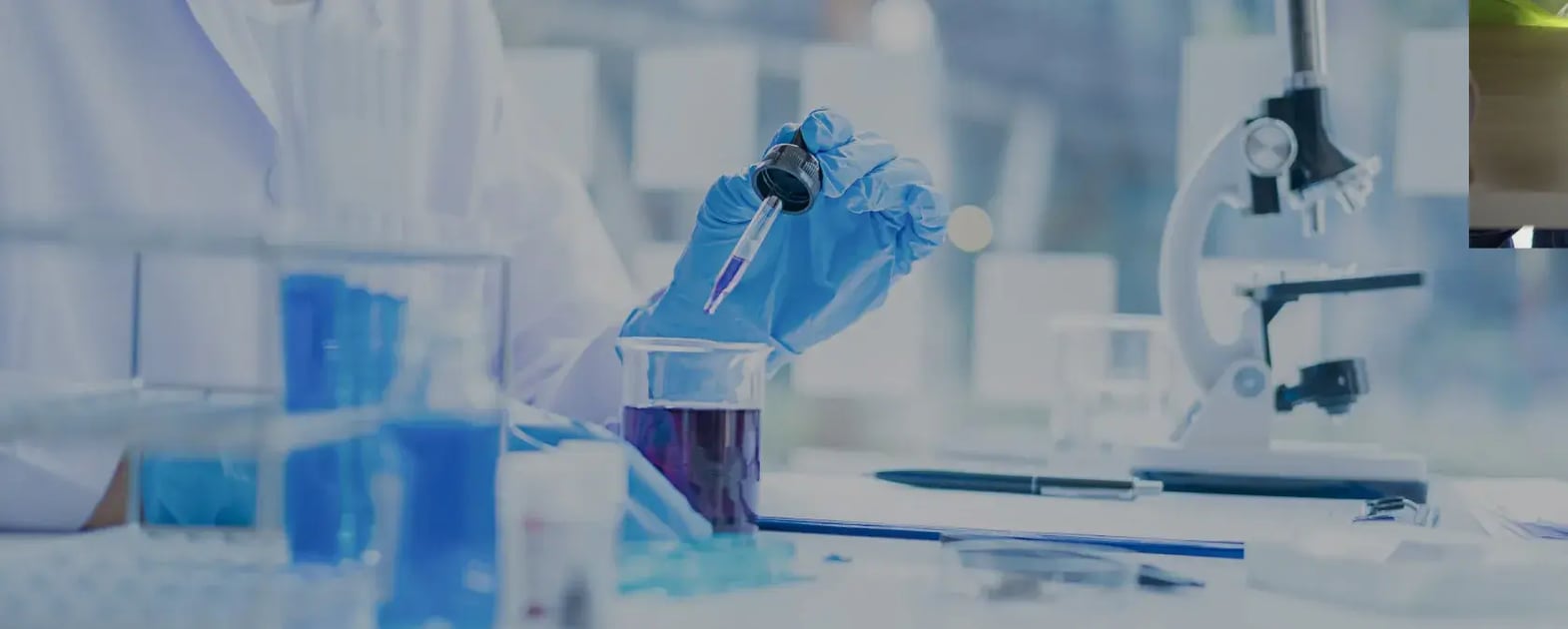 water-safety-industry