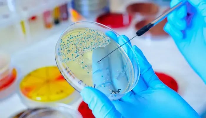 granule-healthttools-inside