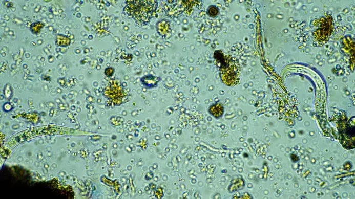 microbial-protection-inside