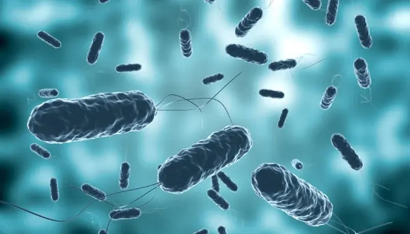 superior-pathogen-inside